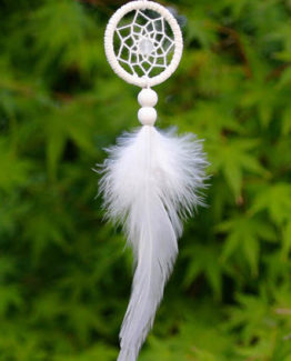 Takes you everywhere your dreamcatcher