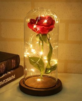 Faire un moment plus romantique avec cette rose de l'amour éternel